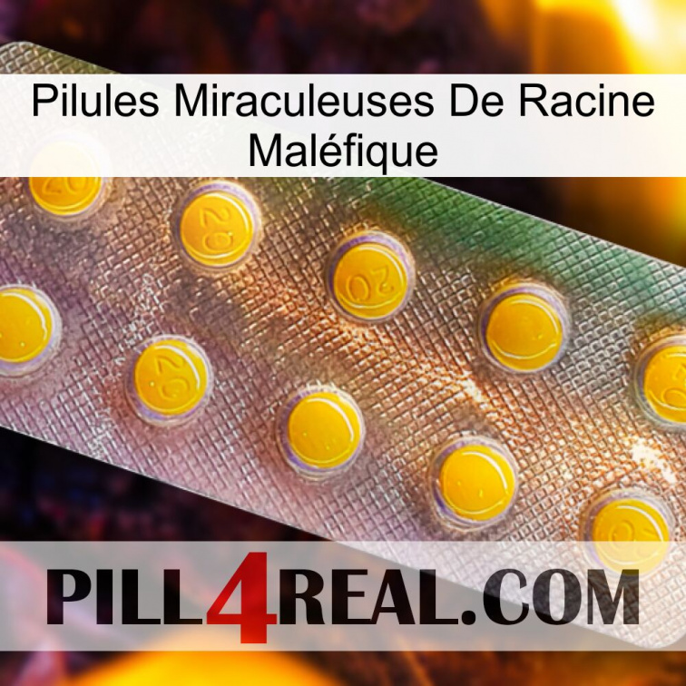 Pilules Miraculeuses De Racine Maléfique new11